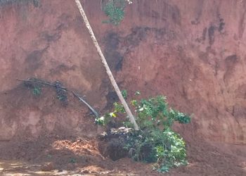 tanah longsor di areal galian tanah di Dusun V Cangkolan Hulu, Desa Minta Kasih, Kecamatan Salapian, Kabupaten Langkat, Minggu, 9 Februari 2025.