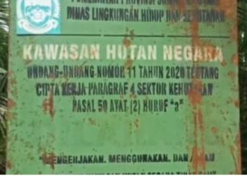 Plank area Hutan Negara Desa Rugemuk Pantailabu Deliserdang