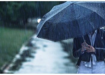 Foto: Getty Images/iiievgeniy