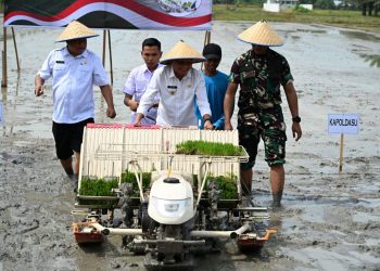metrodeli/istimewa TANAM PADI : Wakil Gubernur Sumatera Utara (Sumut) Surya menghadiri acara Gerakan Menanam Padi Serentak di 14 Provinsi Se-Indonesia Bersama Presiden Republik Indonesia Prabowo Subianto secara virtual, di Desa Sidoharjo 1 Pasar Miring, Kecamatan Pagar Merbau Kabupaten Deliserdang, Rabu 23 April 2025.