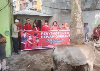 metrodeli/istimewa HEWAN KURBAN : Ketua DPC PDI Perjuangan Kota Medan Hasyim SE di dampingi pengurus menyerahkan hewan kurban di Masjid Amal Silahturahim Kecamatan Medan Denai, Minggu 8 Juni 2025.