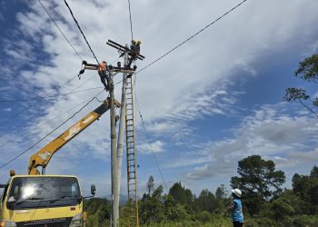 metrodeli/istimewa PEKERJAAN TEKNIS : Petugas Pelayanan Teknik saat melaksanakan pekerjaan teknis pada HUTM (Jaringan Tegangan Menengah), didampingi pengawas lapangan yang memastikan seluruh pekerjaan berjalan sesuai SOP dan standar keselamatan kerja (K3).