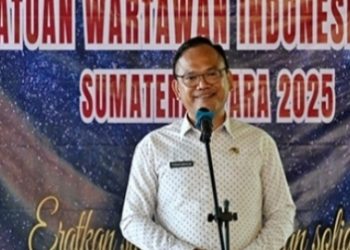 metrodeli/istimewa Plt Kadis Kominfo Sumut Porman Mahulae